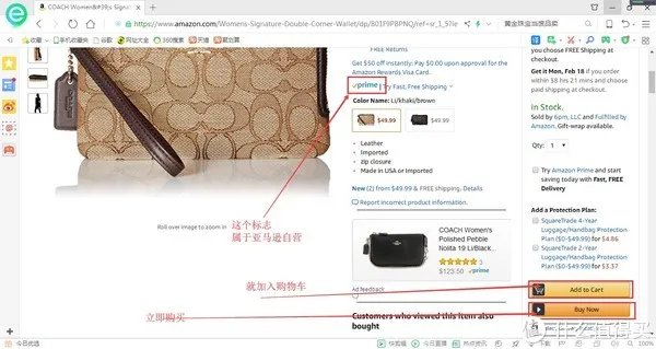 新手如何在亚马逊上海淘？