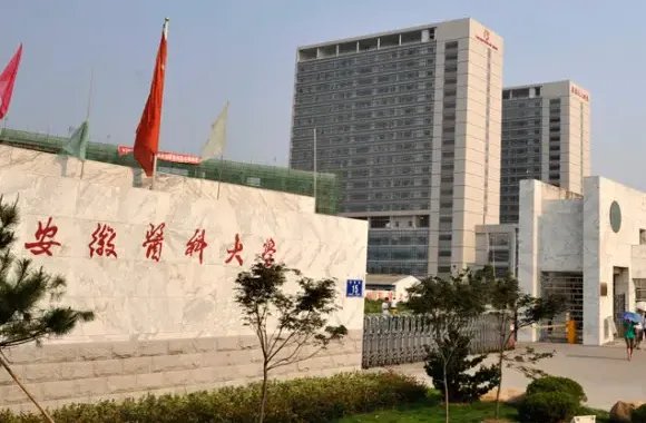 合肥有哪些大学