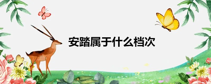 安踏属于什么档次