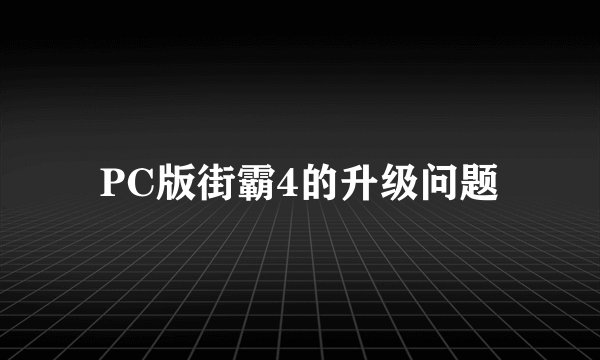 PC版街霸4的升级问题