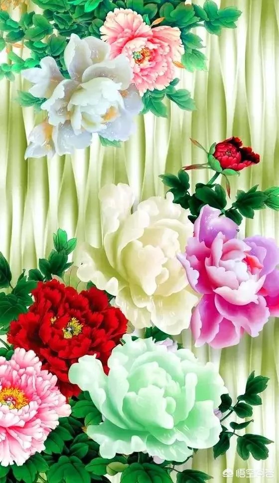 有哪些清新可爱的手机壁纸可以推荐？