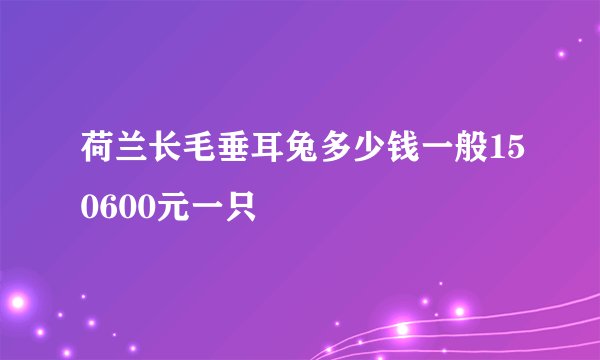荷兰长毛垂耳兔多少钱一般150600元一只