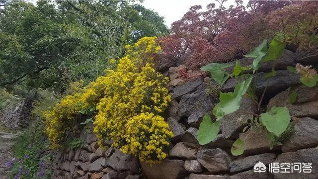 国内有哪些地方被誉为是“摄影人的天堂”？