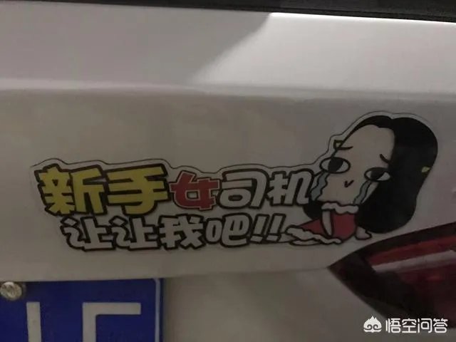 女司机到底有多恐怖？