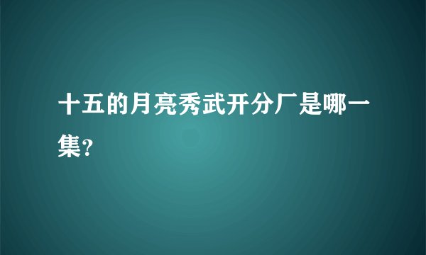 十五的月亮秀武开分厂是哪一集？