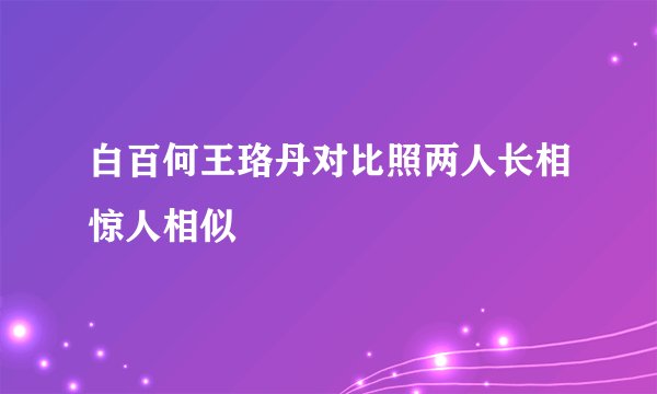 白百何王珞丹对比照两人长相惊人相似