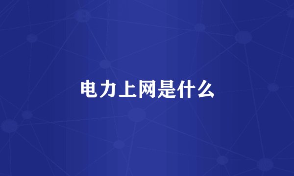 电力上网是什么
