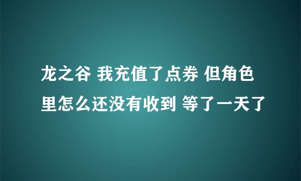 龙之谷 我充值了点券 但角色里怎么还没有收到 等了一天了