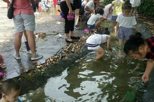 海上田园有什么好玩的，值得去吗？