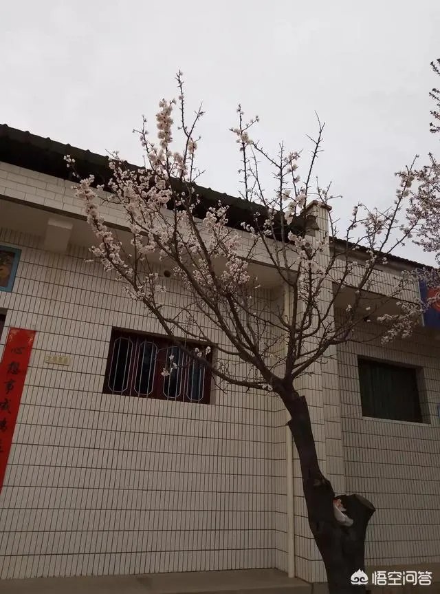 围城：农民盼进城落户买房为奴PK城里人想返乡创业当老板！你怎么看？