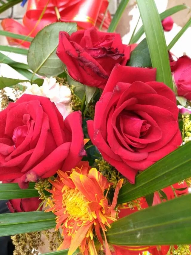 上联：深秋红叶写离歌，一宵千卷恨？