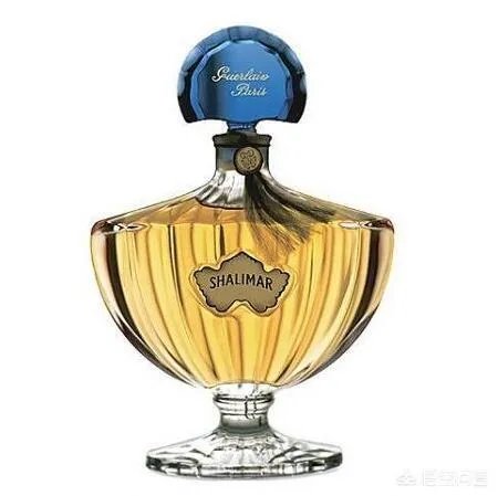 娇兰一千零一夜Shalimar的全部版本有哪些？