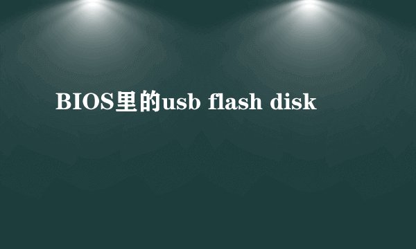 BIOS里的usb flash disk