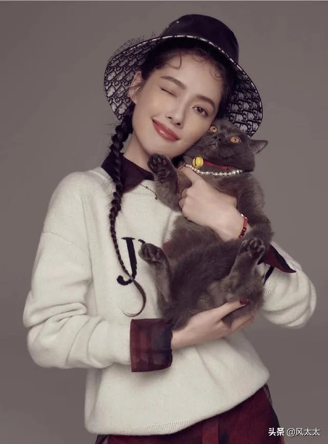 为什么有人说郭碧婷不喜欢向佐？