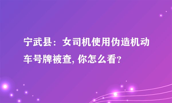 宁武县：女司机使用伪造机动车号牌被查, 你怎么看？