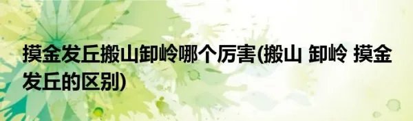 摸金发丘搬山卸岭哪个厉害(搬山 卸岭 摸金 发丘的区别)