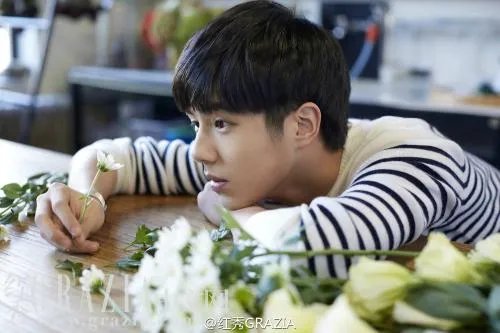 娱乐圈里没有绯闻的明星，他们都是什么星座的？