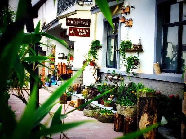 中国民宿是什么？为什么？怎么办