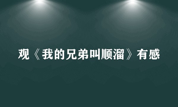 观《我的兄弟叫顺溜》有感
