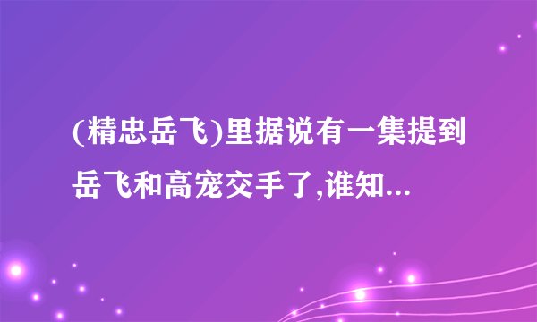 (精忠岳飞)里据说有一集提到岳飞和高宠交手了,谁知道是哪一集？