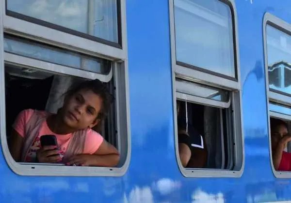 乘客坐火车为看风景集体擦车窗，如何看待乘客的行为？