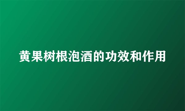 黄果树根泡酒的功效和作用