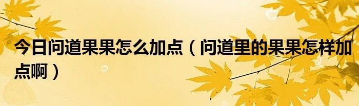 今日问道果果怎么加点（问道里的果果怎样加点啊）