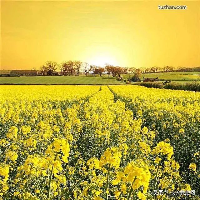 休闲农庄如何变身农业旅游景区？