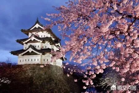 有没有专注旅游的APP推荐？