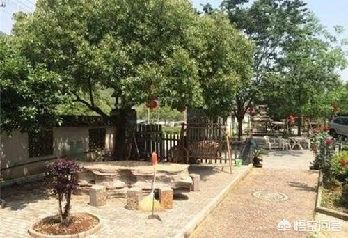 乡村旅游景区如何提升规划设计？