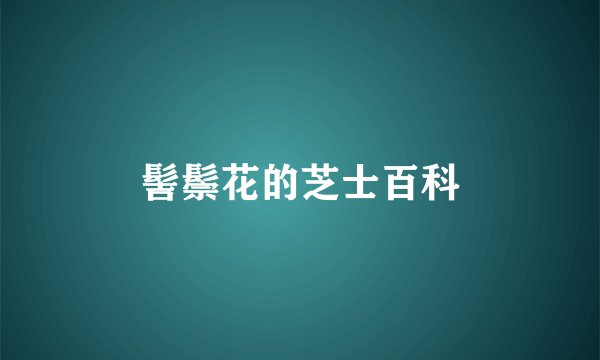 髻鬃花的芝士百科