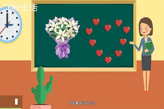 教师节送什么花