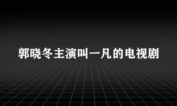 郭晓冬主演叫一凡的电视剧