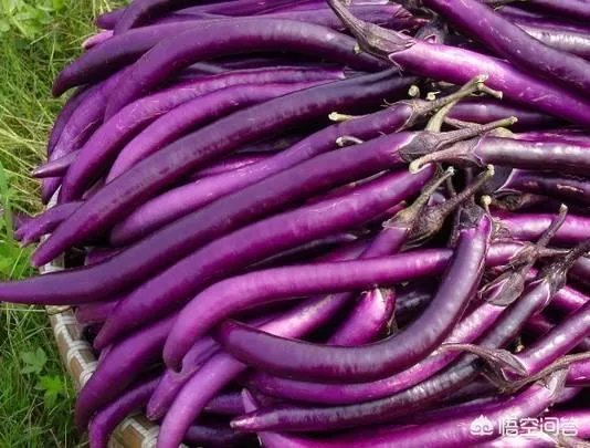 58岁老戏骨程思寒心梗逝世，我们怎样才能预防心梗？