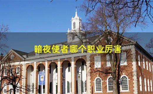 暗夜使者哪个职业厉害