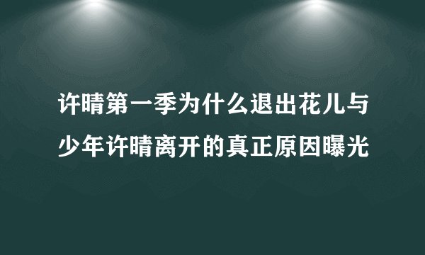 许晴第一季为什么退出花儿与少年许晴离开的真正原因曝光