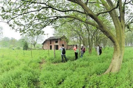 湖南宁乡县都设市了，长沙县改区为什么推动不了？