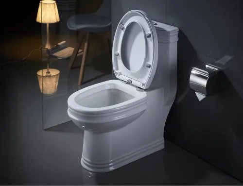 有移位器不可以用虹吸马桶