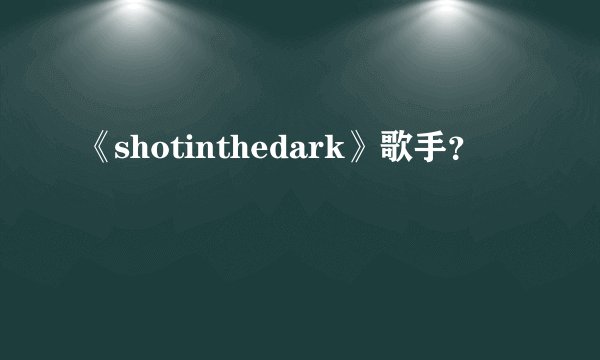 《shotinthedark》歌手？