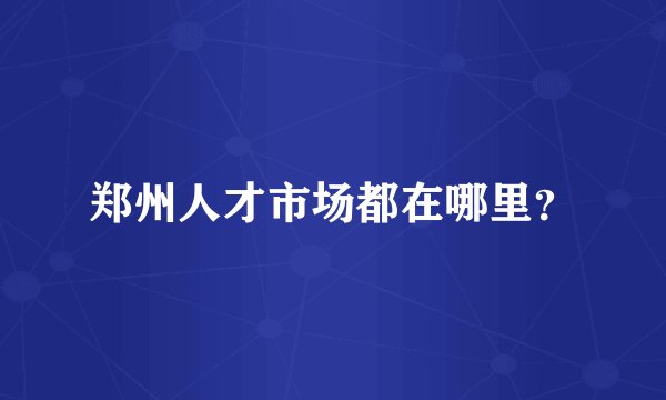 郑州人才市场都在哪里？