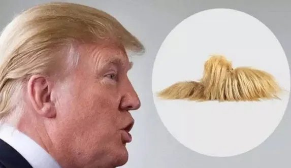 派女儿给中国拜年，特朗普向中国传递出四重信号？