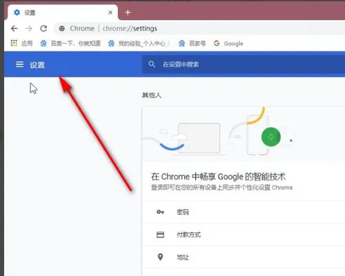 谷歌访问助手打开就不能用是怎么回事