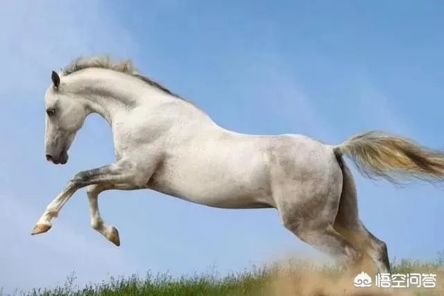 后天就是2019年高考了，大家有没有原创励志的好诗词送给考生？