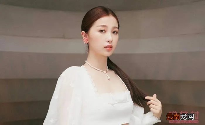 中餐厅第四季嘉宾名单完整版一览 中餐厅第四季嘉宾名单