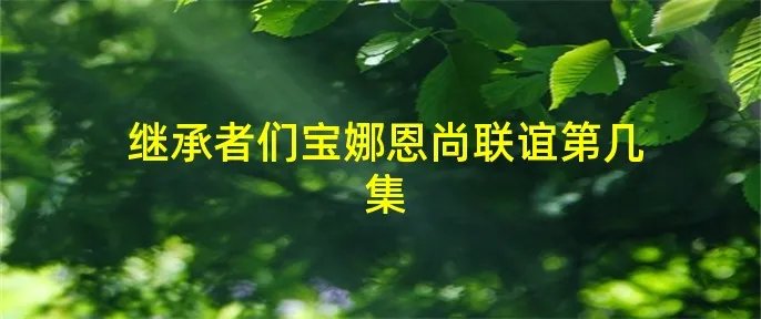 继承者们宝娜恩尚联谊第几集