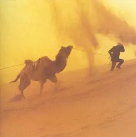 严重沙尘暴袭印度造成了什么影响？