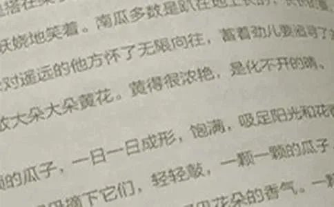 五年级上册语文课文第三单元作文