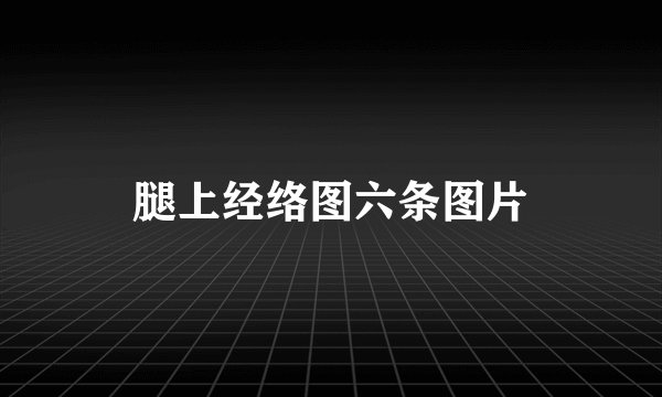 腿上经络图六条图片
