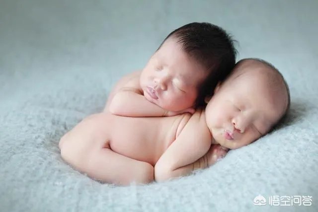 恭喜张杰和谢娜宝宝的出生。为什么明星容易生双胞胎？