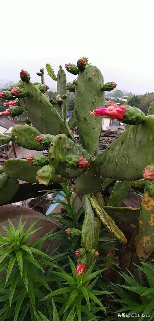 被人想念和想念别人哪一种更幸福？心有灵犀真的存在吗？